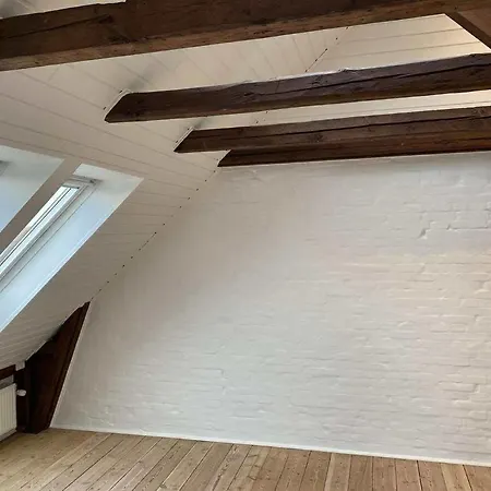 Apartment Og Hyggelig